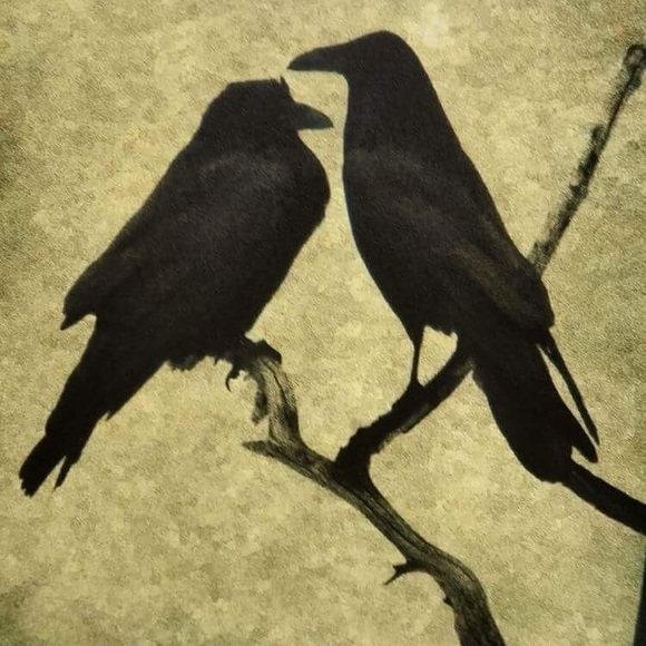 Meet your Posher, Susan - Picture 8 of 8